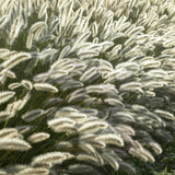 Pennisetum alopecuroides 'Hameln' - ↕10-25cm - Ø9cm - 6x