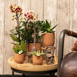 Kolibri Home | Glazed bloempot - Cognac keramieken sierpot met glans - Ø9cm