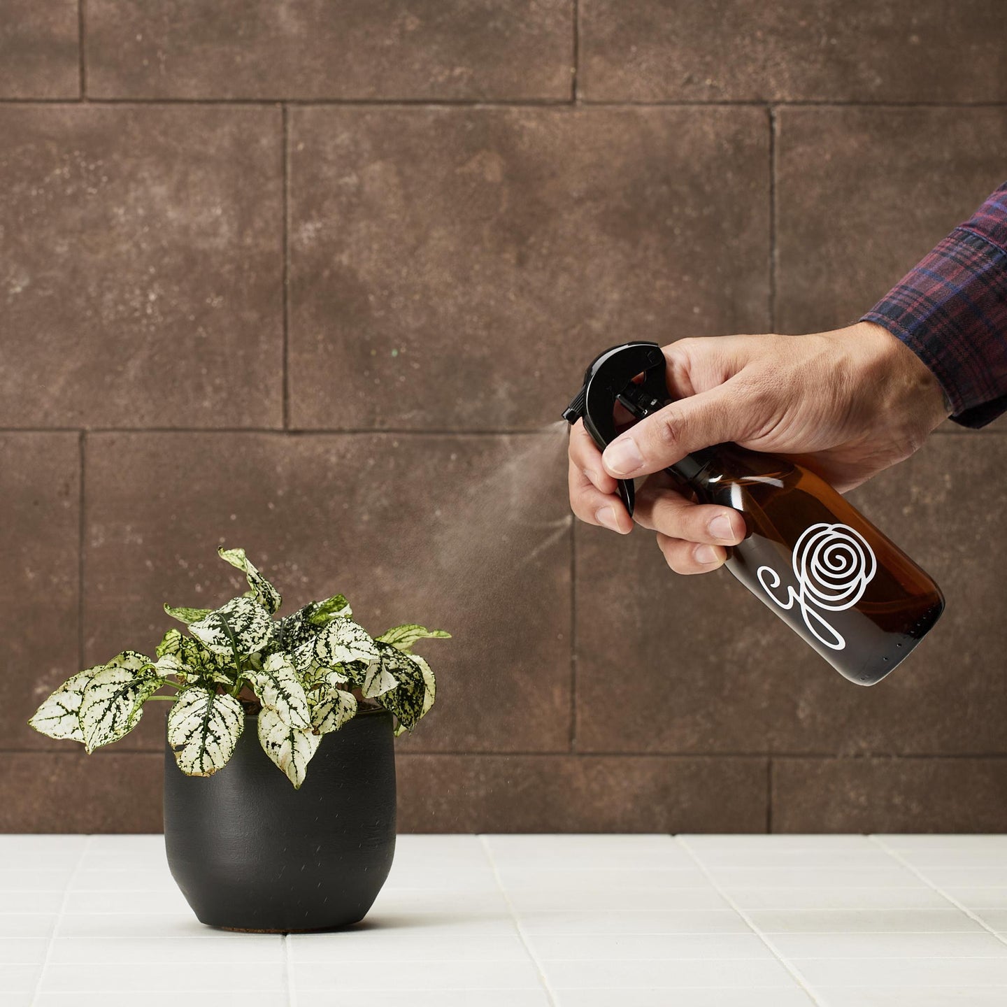 Plant Care - 200 ml - PLANT MISTER | GLASS BOTTLE
